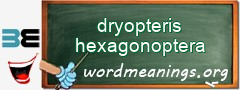 WordMeaning blackboard for dryopteris hexagonoptera